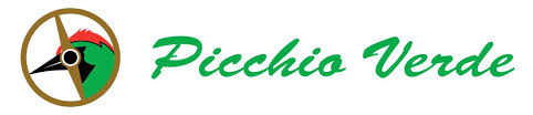 Picchio Verde